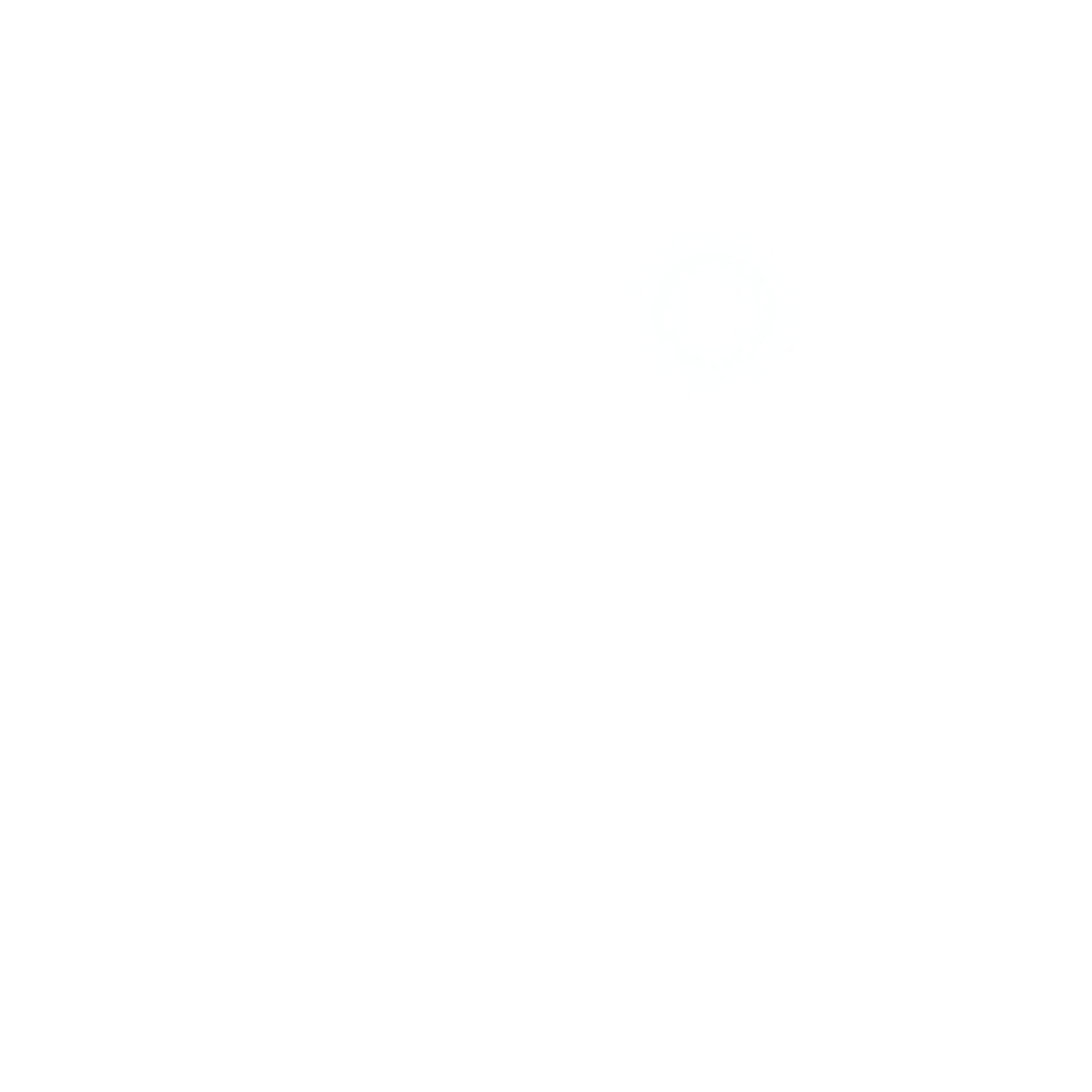 Into The Wild Productions