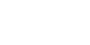 MAVA Foundation