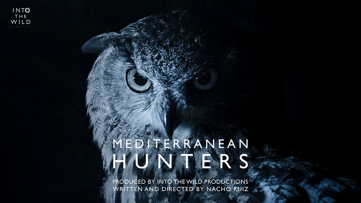 Mediterranean Hunters 2022
